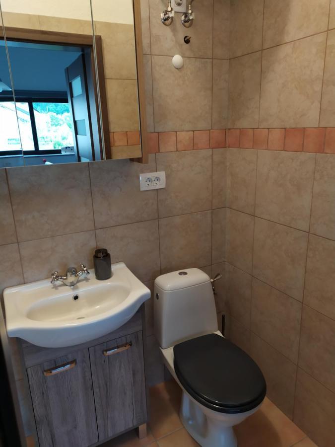 Gostilna Ulcar Hotel Ig Kültér fotó